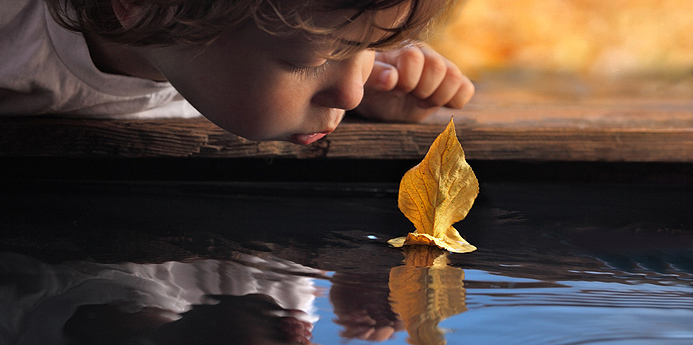 blowing leaf